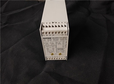 MAYSER SG-EFS104 ZK2 1 L20MS